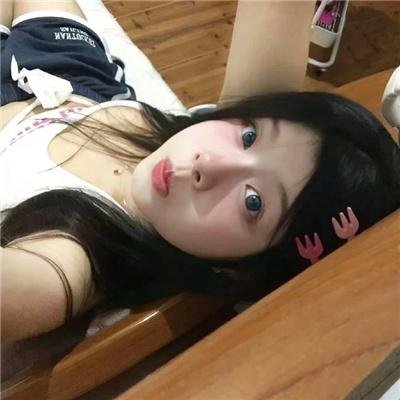 科搜研之女2022